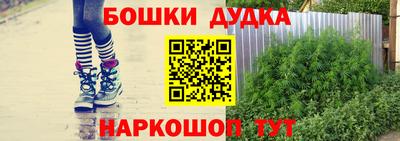 прущие крисы Малгобек