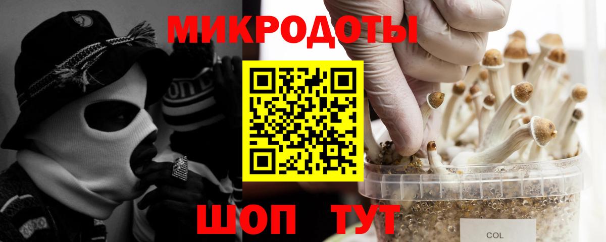 Волгоград  Галлюциногенные грибы Psilocybine cubensis  Псилоцибиновые грибы ЛСД  Вход с VPN 